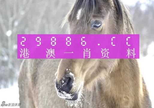 澳门一肖一码100准最准一肖,精准解答解释落实_ok168.78.38