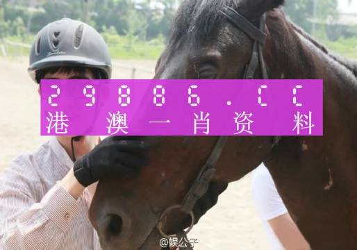 澳门一肖一码一必中一肖同舟前进,精准解答解释落实_ok168.78.38