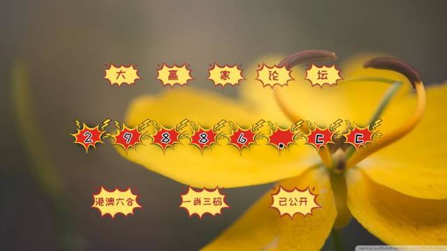 4949精准澳门彩最准确的,精准解答解释落实_ok168.78.38