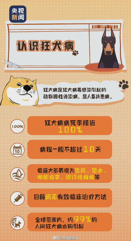一码一肖100准确使用方法,一码一肖，揭秘100%准确使用方法的秘密