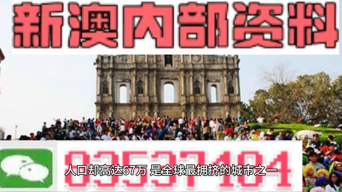 新澳门免费资料精准大全,新澳门免费资料精准大全，探索与解读