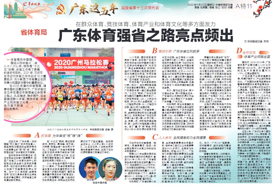 2025新澳门正版精准免费大全,澳门正版精准免费大全，探索未来的预测与机遇（2025展望）