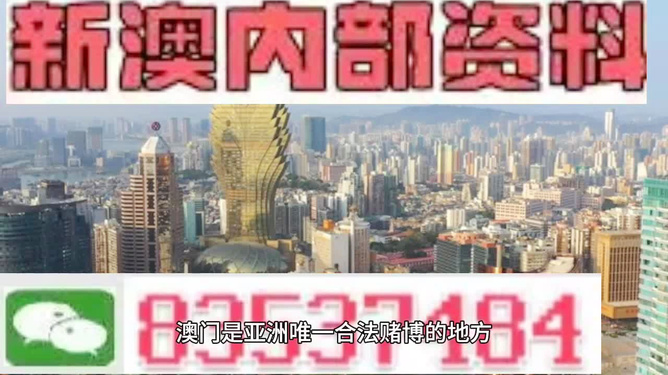 新澳门内部免费资料精准大全,新澳门内部免费资料精准大全，探索与解析