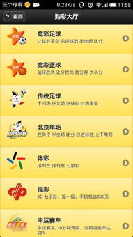 澳门今晚必开一肖1,澳门今晚必开一肖，探索生肖彩票的魅力与玄机