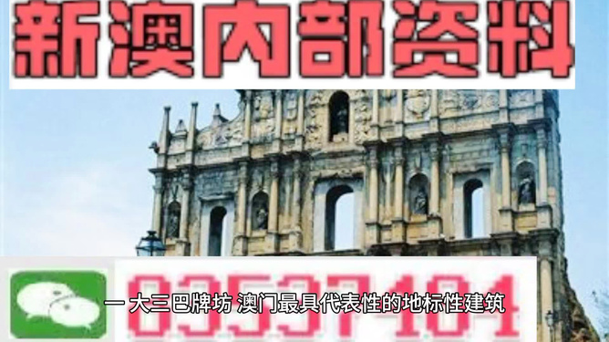 新奥门免费公开资料,新澳门免费公开资料及其重要性