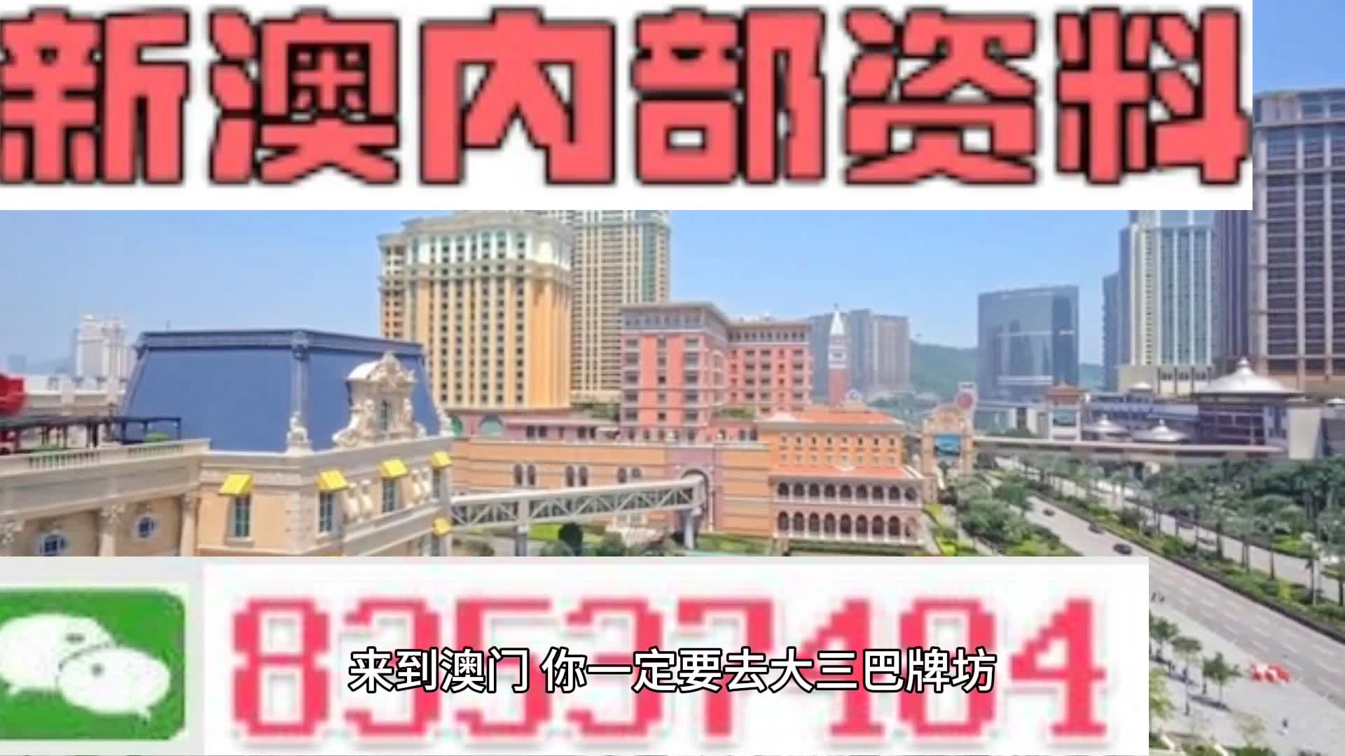 新澳门免费全年资料查询,新澳门免费全年资料查询，探索信息的海洋