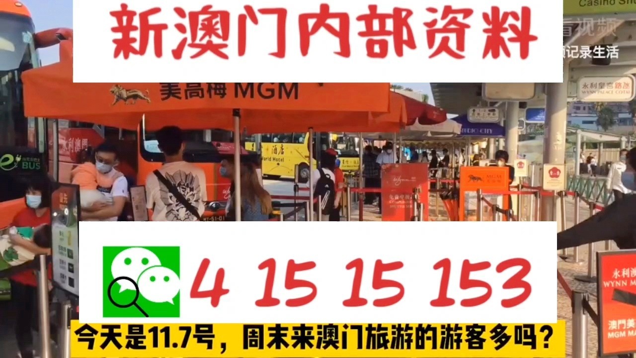 澳门中特网的网站,澳门中特网网站的发展与影响