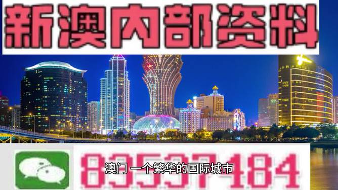 新澳2025最新资料24码,新澳2025最新资料解析与探索，揭秘二十四码的魅力