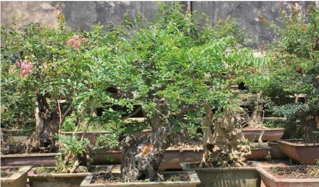 新澳资料正版免费资料,新澳资料正版免费资料，助力学习与发展的宝贵资源