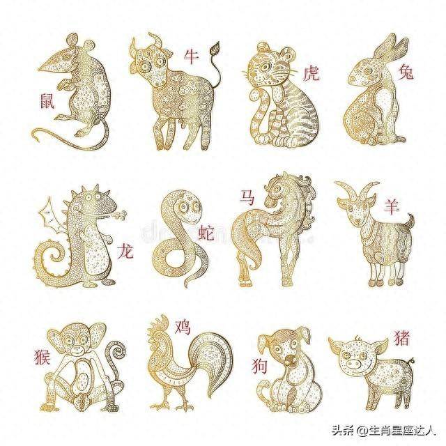新澳门出最准生肖,新澳门出最准生肖——探寻生肖预测的奥秘