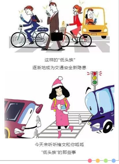 246天天彩免费资料大全功能,探索246天天彩免费资料大全的多元化功能与应用