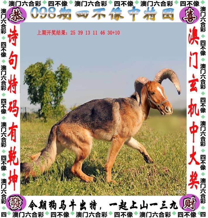 新澳门四不像图片大全2025年,新澳门四不像图片大全2025年，探索未知与文化的交融