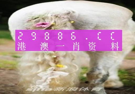 澳门一肖一码资料_肖一码,澳门一肖一码资料与肖一码，探索与解析