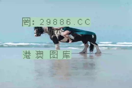 新澳门一肖一码中恃,新澳门一肖一码中恃的秘密